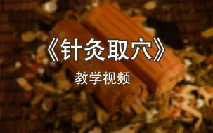 Download Video: 《针灸取穴》教学视频