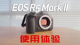 下载视频: 佳能R5 Mark II使用体验 | 是时候，该回“佳”了