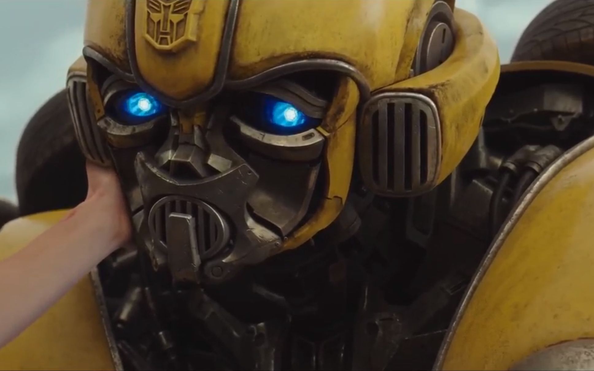 现实生活中真实存在的大黄蜂