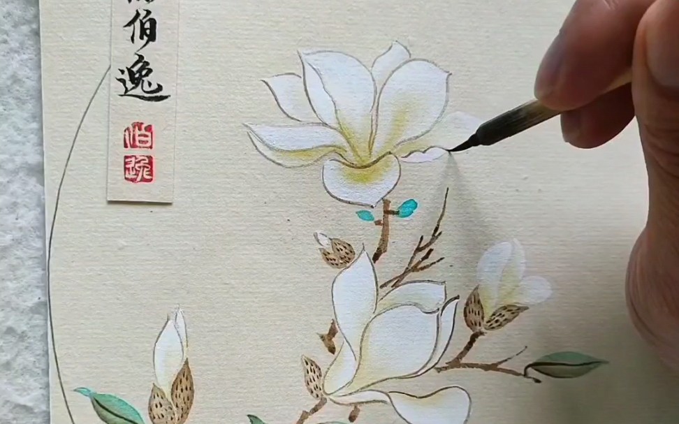 [图]画一幅素雅的玉兰花