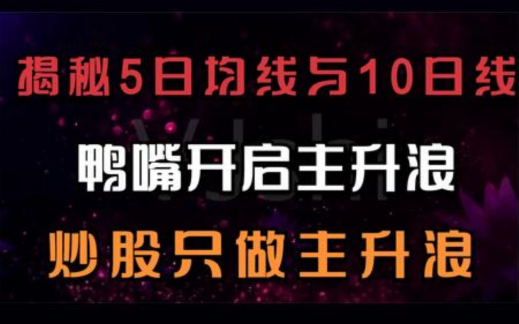 5日均线与10均线的终极用法,鸭嘴开启主升浪,炒股只做强势股.哔哩哔哩bilibili