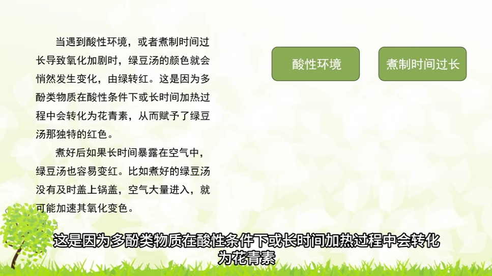 科普视频 今日小科普I视频主题 人文科普助力乡村振兴 部分素材来源于网络,仅用于交流学习哔哩哔哩bilibili