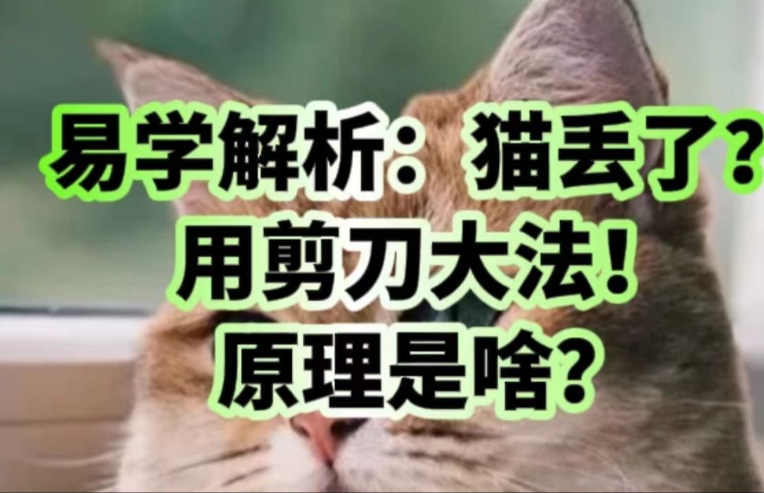 易学解析:猫丢了?用剪刀大法!原理是啥?哔哩哔哩bilibili