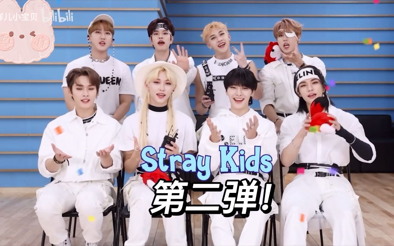 straykids认人图图片