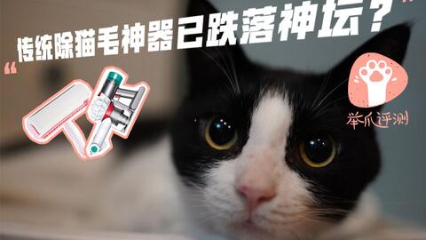不用动手就能除猫毛 家里有洗衣机的都点进来看看 哔哩哔哩