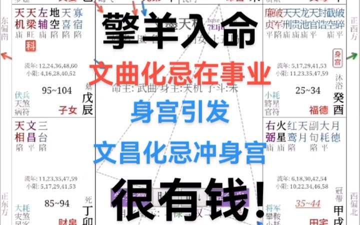 紫微斗数实战学员教学教程,擎羊入命哔哩哔哩bilibili