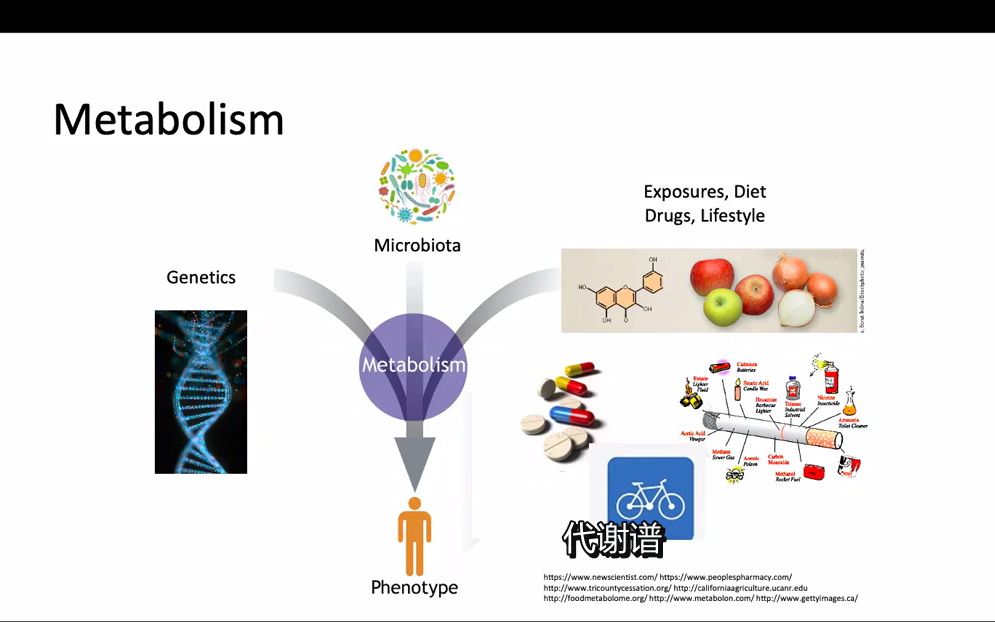 代谢组学平台和数据分析简介哔哩哔哩bilibili