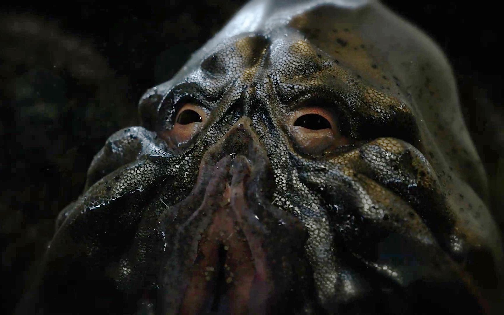 高能科幻短片《净水》一滴血就能克隆美女_哔哩哔哩_bilibili