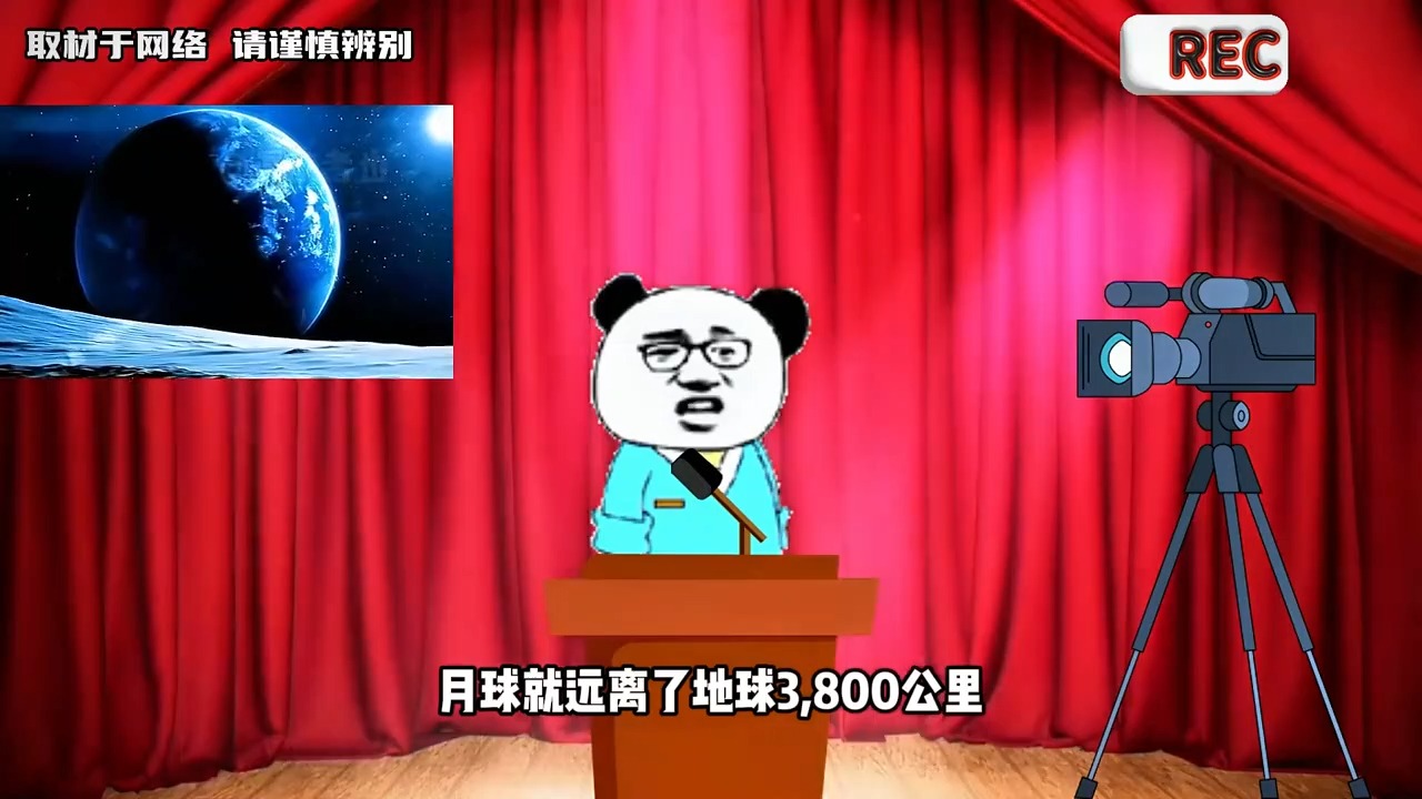 禁止废话:以胖为美的地方在哪?涨知识了!哔哩哔哩bilibili