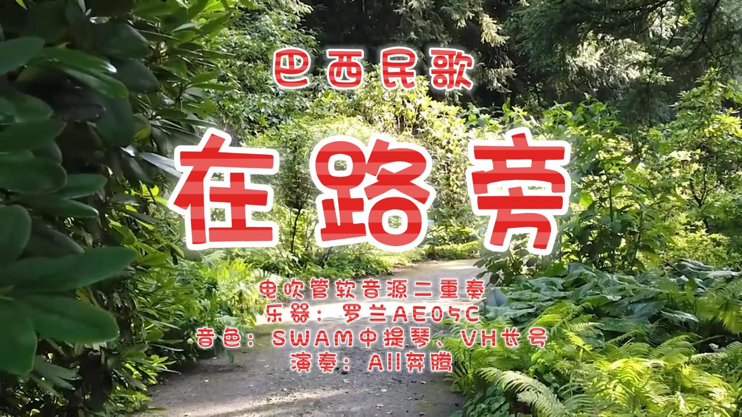 电吹管软音源swam中提琴音色和vhorns长号音色二重奏演绎巴西民歌《在