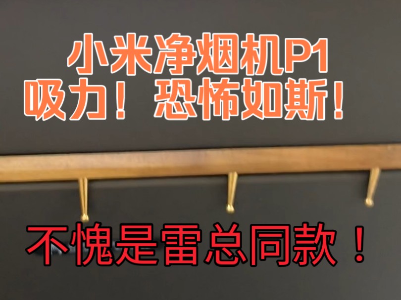 小米米家智能净烟机P1套装测试下吸力如何?吸力恐怖如斯!实际噪音大不大?性价比王者,雷总同款!真香! #烟机灶具 #小米净烟机p1 #米家智能净烟机...