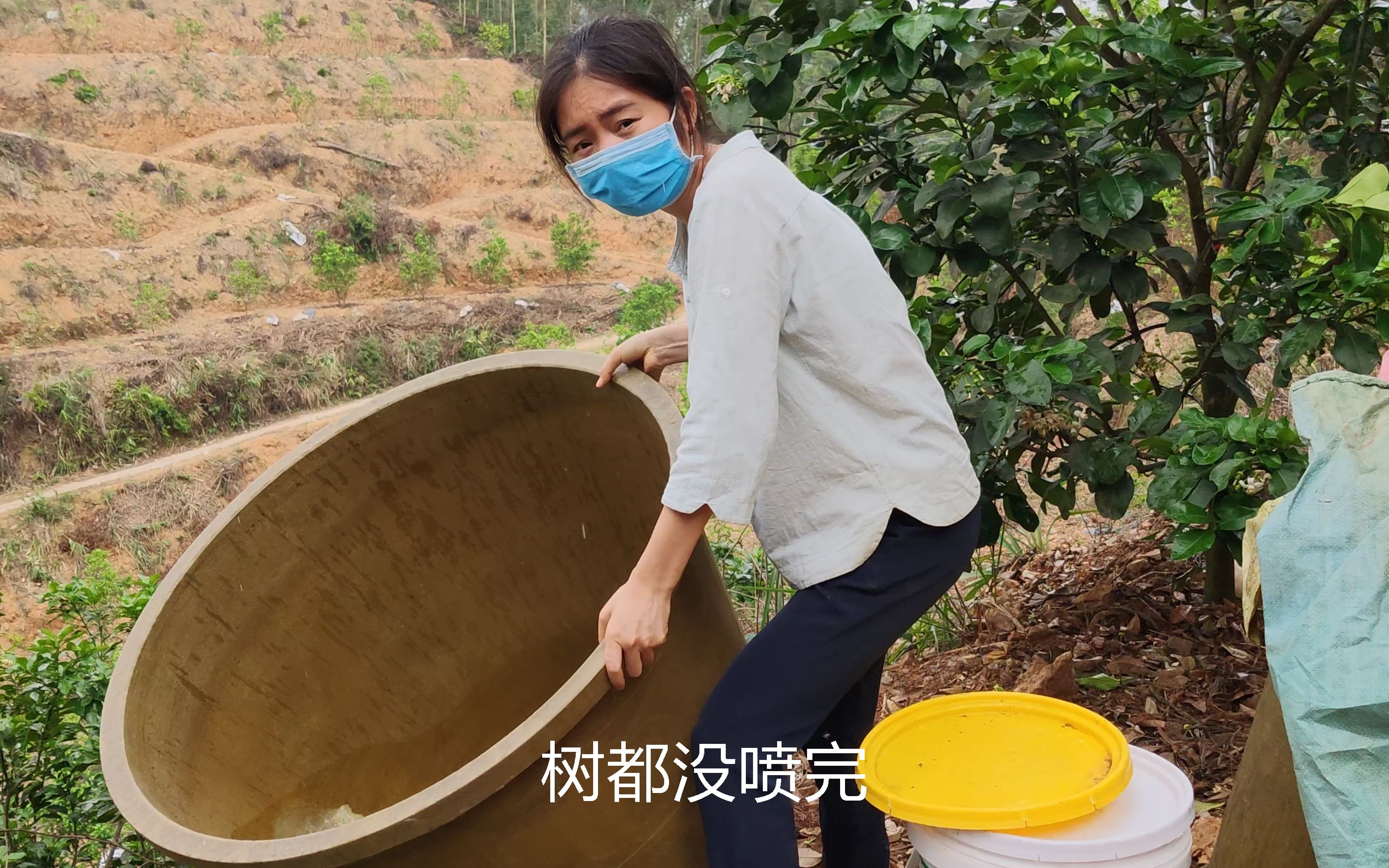 柚子妹和小伙在山上吵架,柚子妹被气得够呛,打算一分工钱也不给