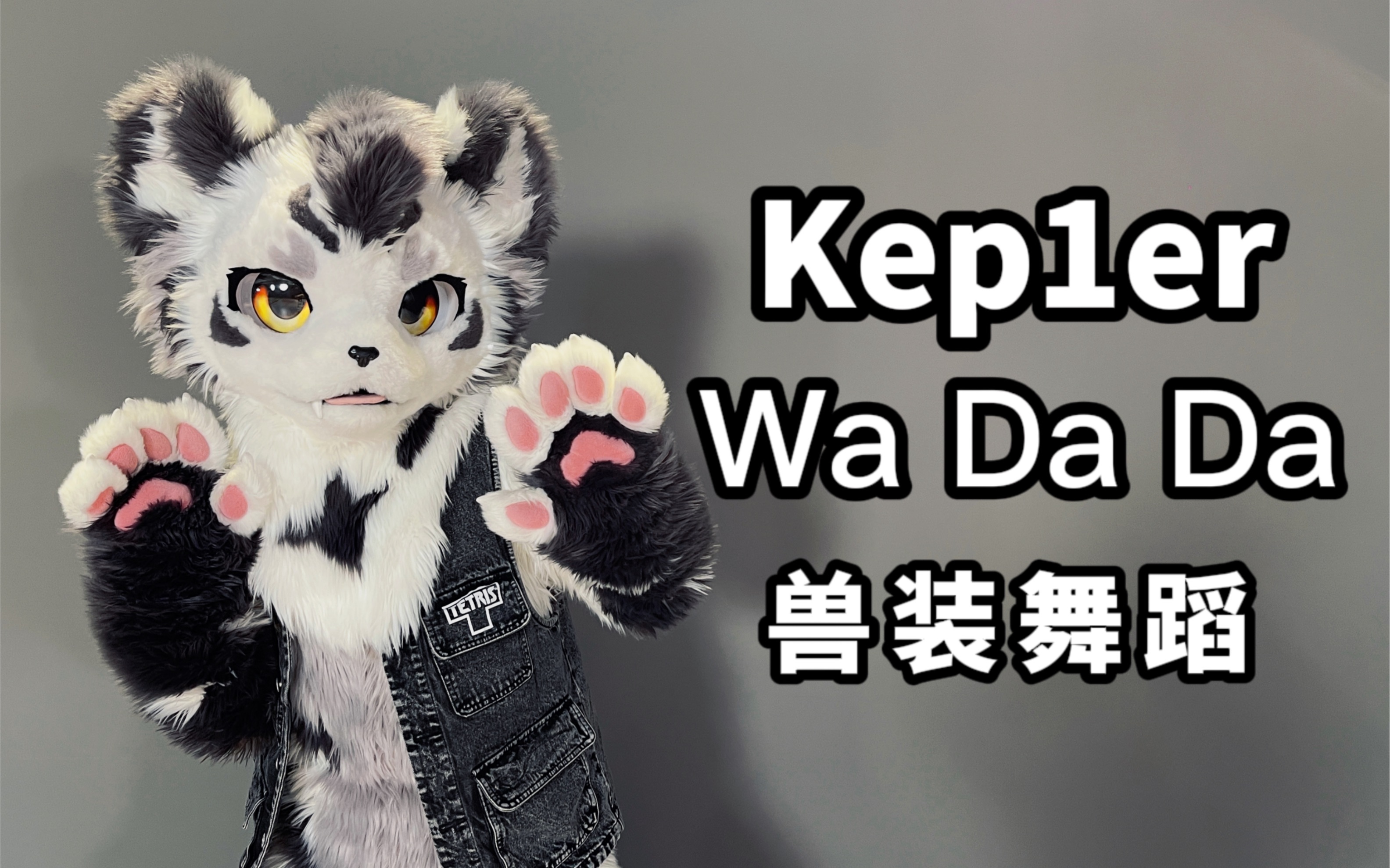 [图]【百万运镜】兽人速翻Kep1er出道曲！！！《Wa Da Da》【银碳】