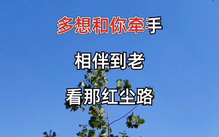 有你真好 完整版哔哩哔哩bilibili