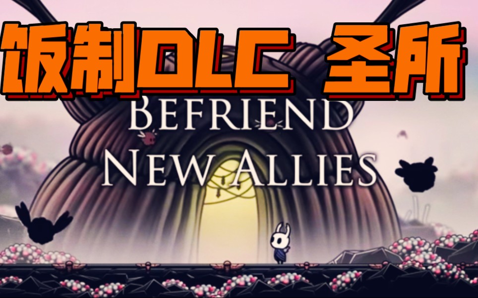 【空洞骑士 圣所】饭制DLC 【最新消息】【 The Sanctuary 】The End of Hollow Knight 因时间/资金终止制作空洞骑士