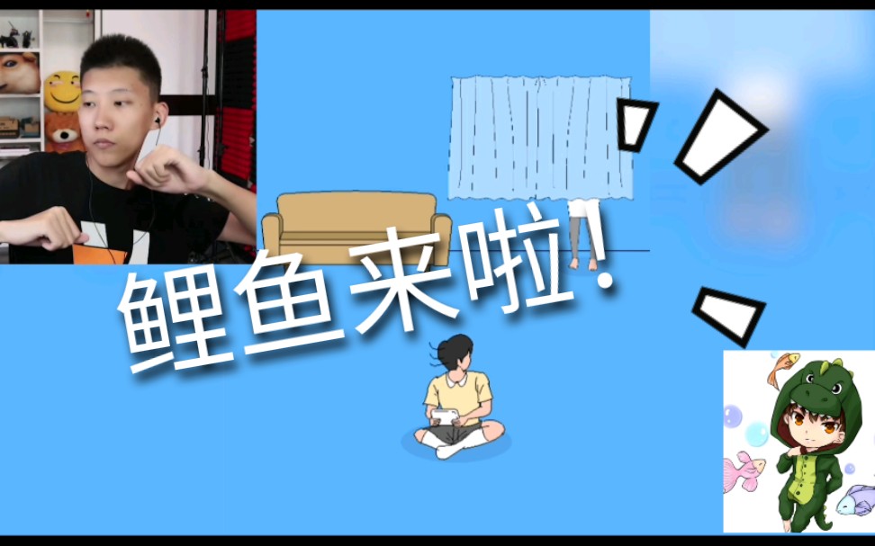 鲤鱼ace可爱瞬间_哔哩哔哩_bilibili