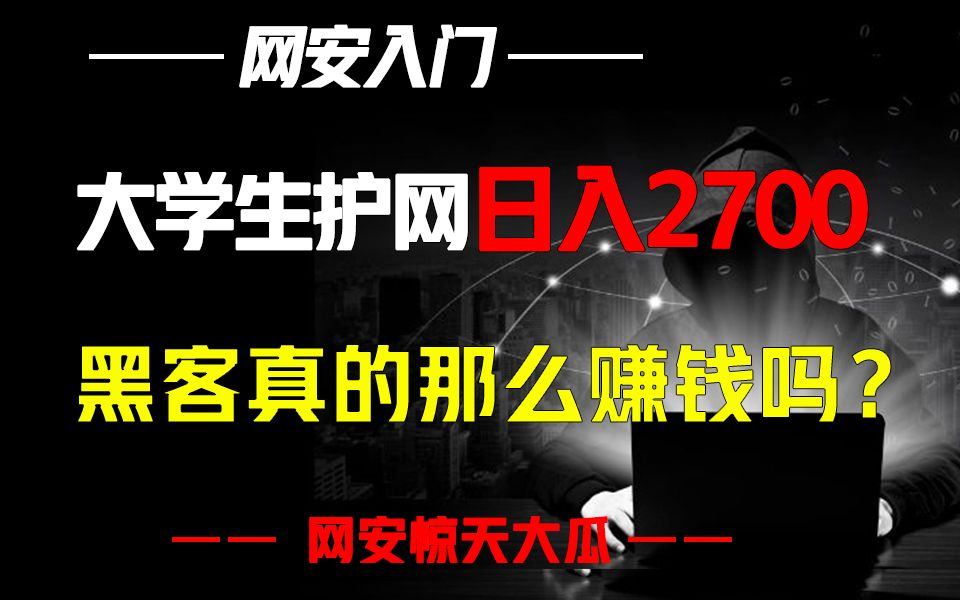 网安圈的惊天大瓜!苕皮哥护网日入两千七,黑客真有那么赚钱??哔哩哔哩bilibili