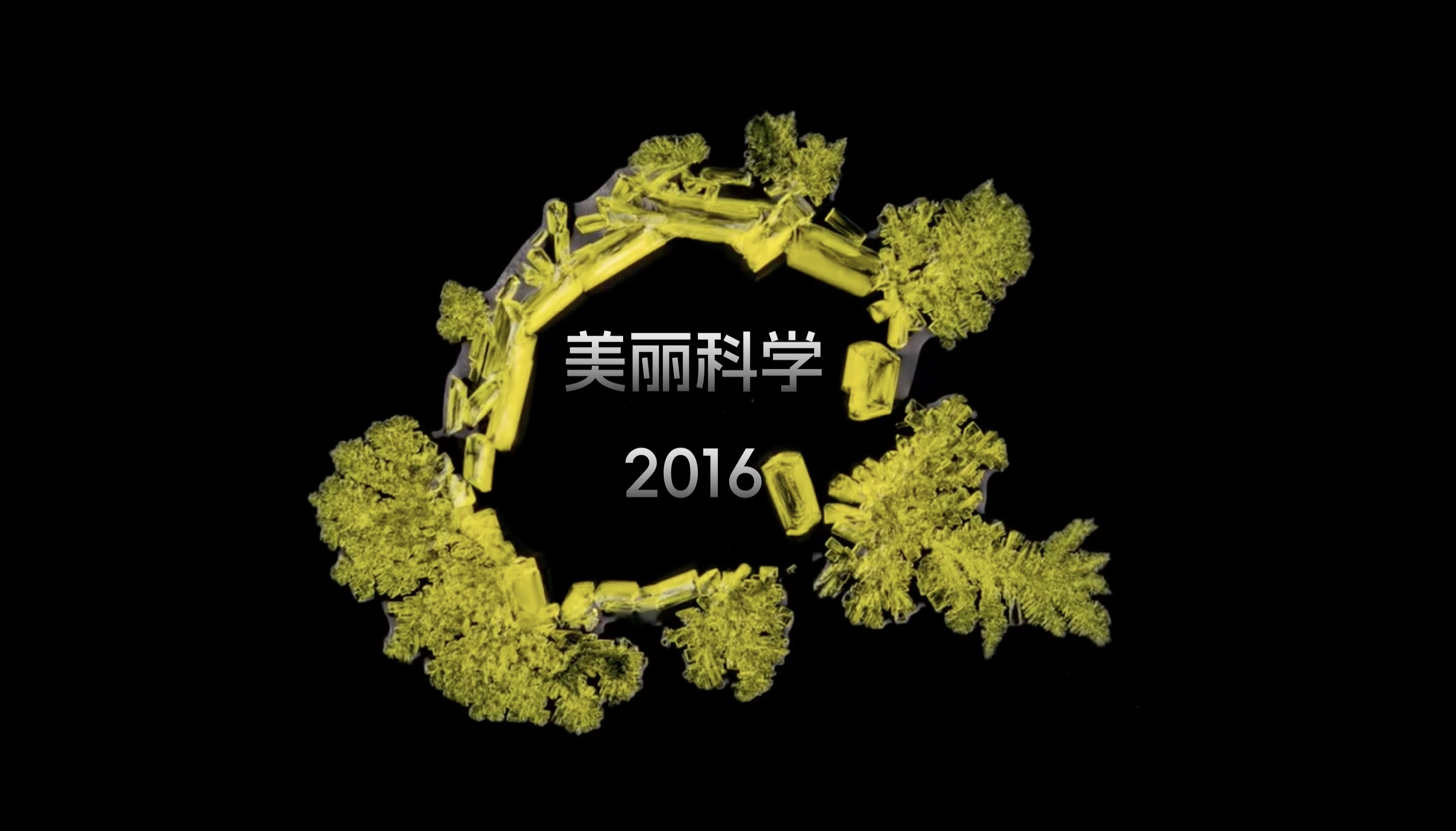 【美丽科学】欢迎收看良心无人系列の2016年代表作品合集哔哩哔哩bilibili