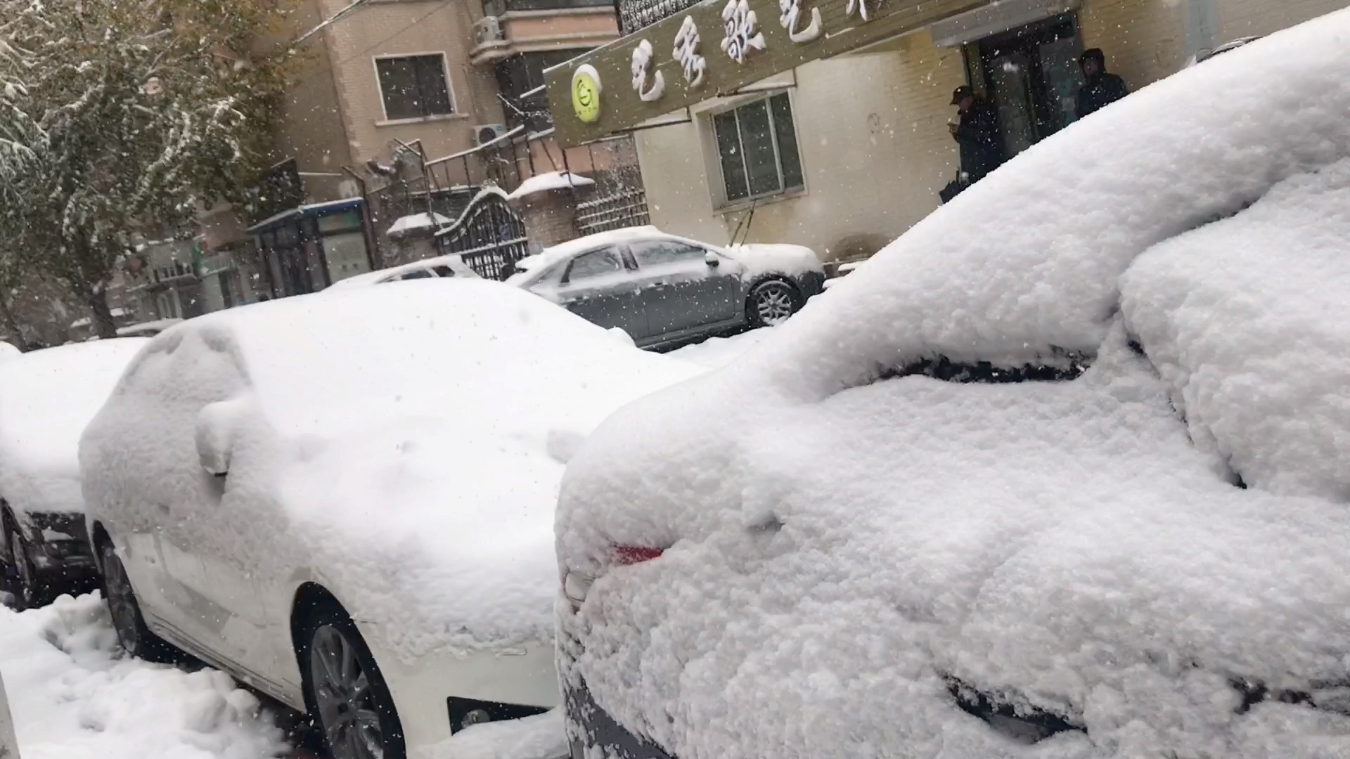 东北下雪的图片实景图片