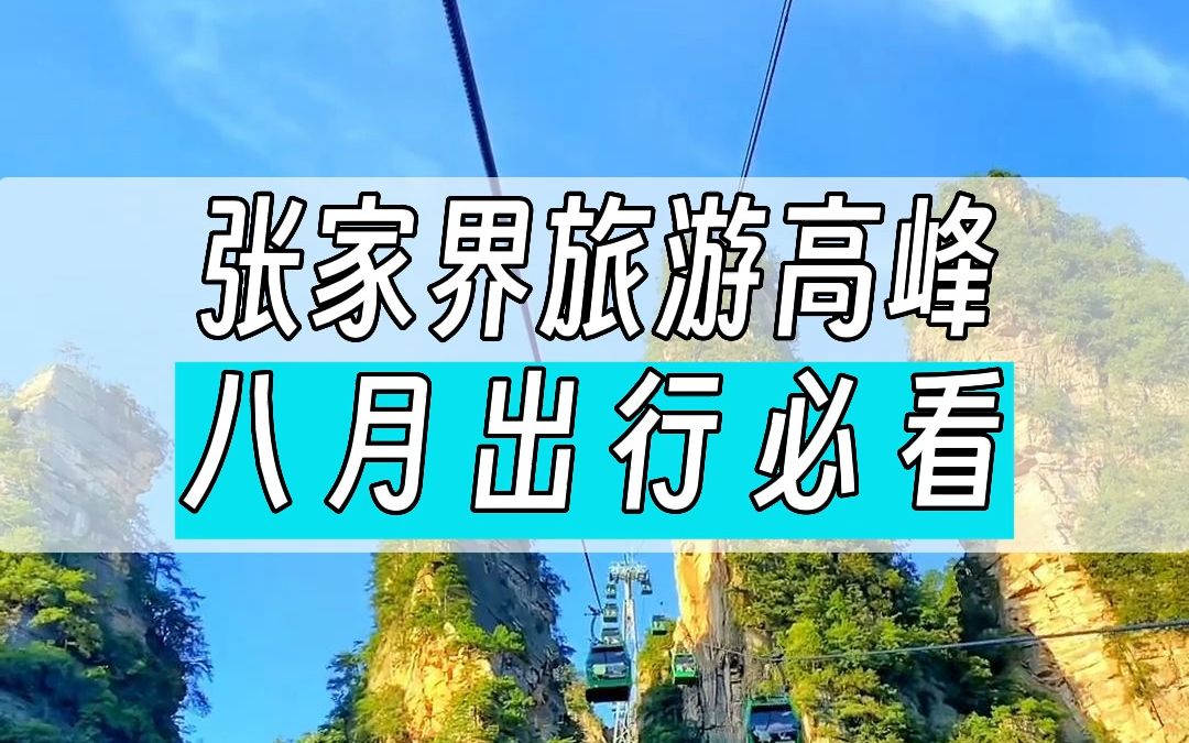 有问必答:天门山门票?路线?时间安排?大峡谷适不适合带孩子?哔哩哔哩bilibili