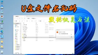 Download Video: U盘文件名乱码怎么办？U盘数据恢复方法有哪些