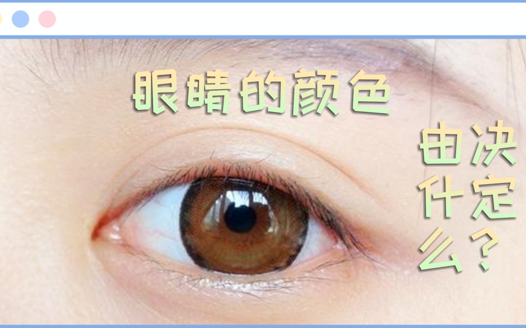 眼睛的颜色由什么决定?