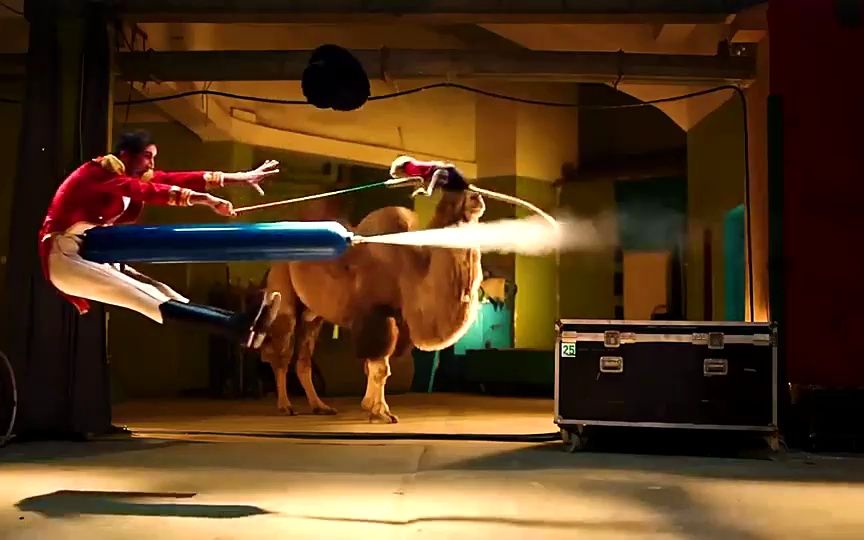 因为一个熊孩子吹的泡泡,引发了一场马戏团的惨案