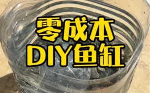 Download Video: 零成本diy矿泉水瓶鱼缸