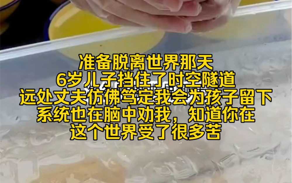 浅浅凉梦:准备脱离世界那天,6岁儿子挡住了时空隧道,远处丈夫仿佛笃定我会为孩子留下,系统也在脑中劝我,知道你在这个世界受了很多苦哔哩哔哩...