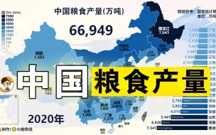 下载视频: 黑土地大战天府之国，中国粮食产量对比排行，地图版，1949-2020