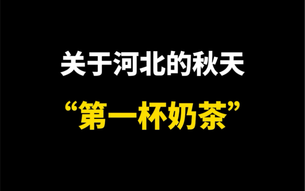 关于河北秋天的奶茶哔哩哔哩bilibili