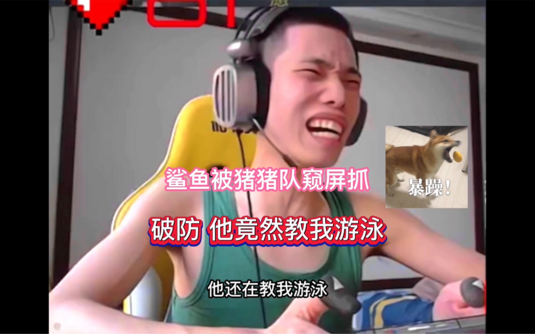 [图]鲨鱼被猪猪队窥屏抓破防 他竟然教我游泳