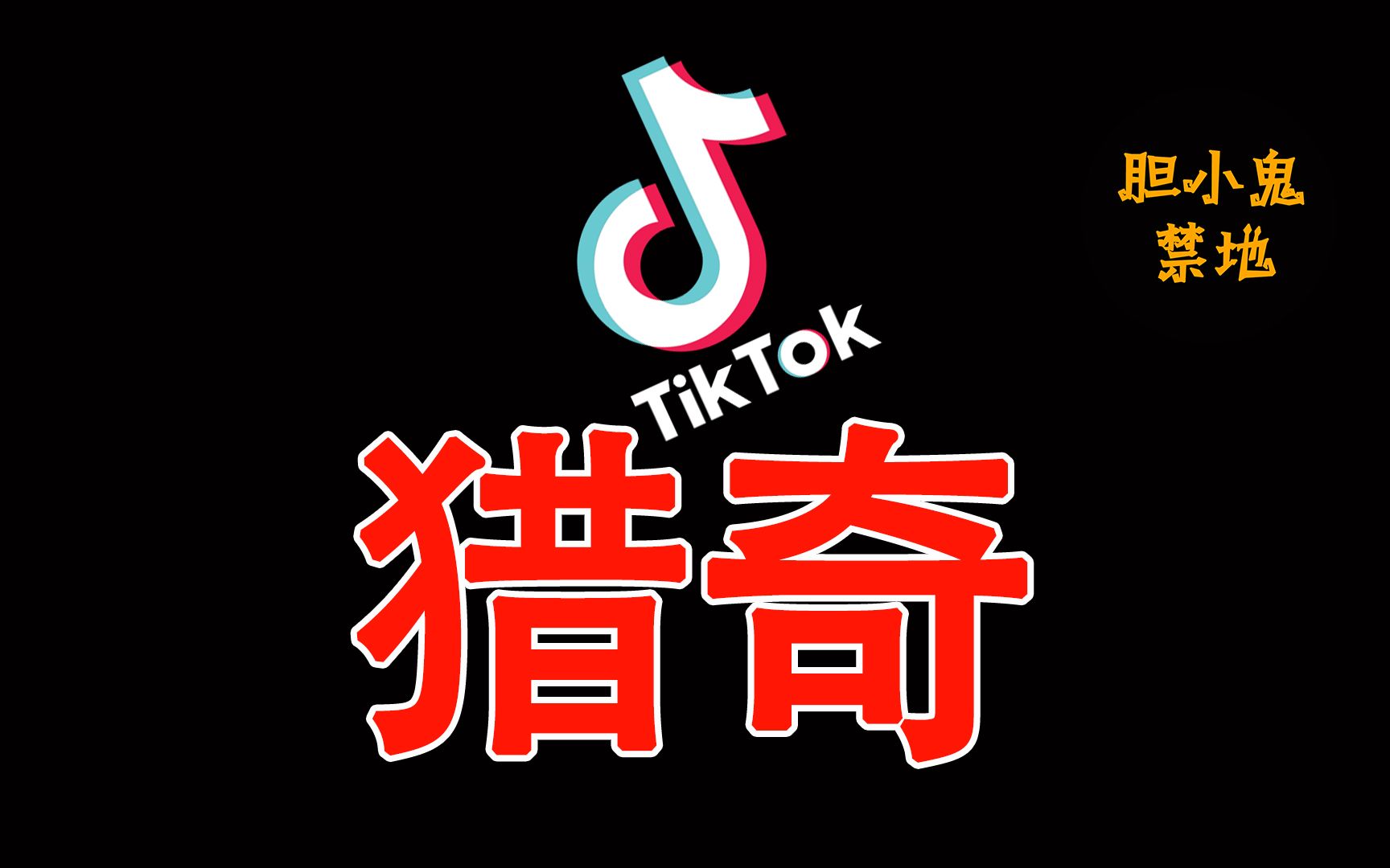 5段TikTok上的猎奇视频丨胆小鬼禁地哔哩哔哩bilibili