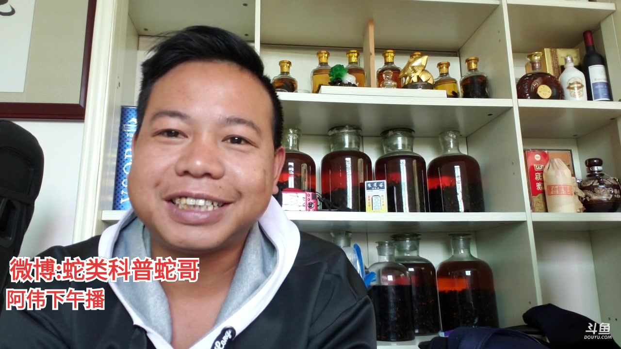 蛇类科普蛇哥直播录像2019112110时1分10时41分湘潭铺子生肖枸杞槟榔