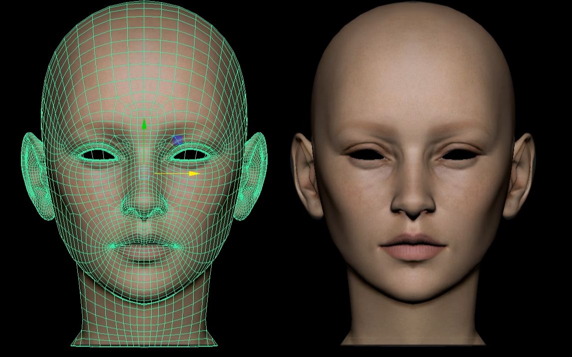maya人物建模maya人物超详细建模头部基础布线教程