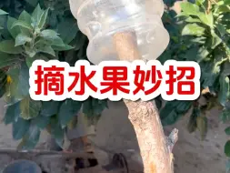 下载视频: 自制摘水果神器