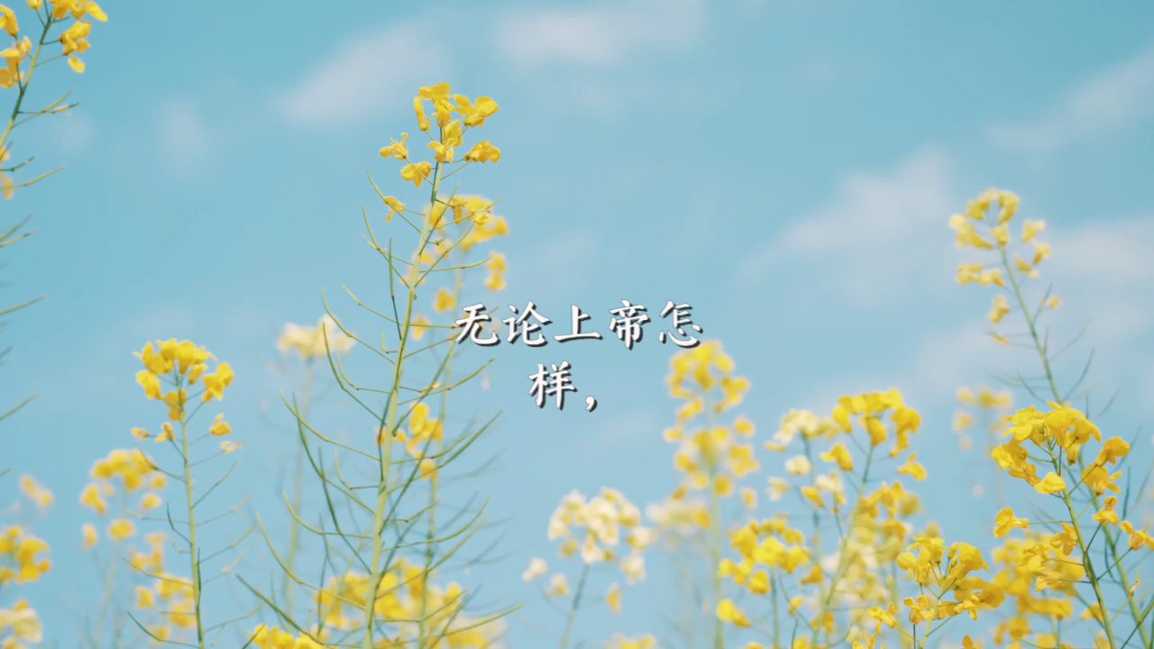 无论怎样,生活还是要继续的_哔哩哔哩_bilibili