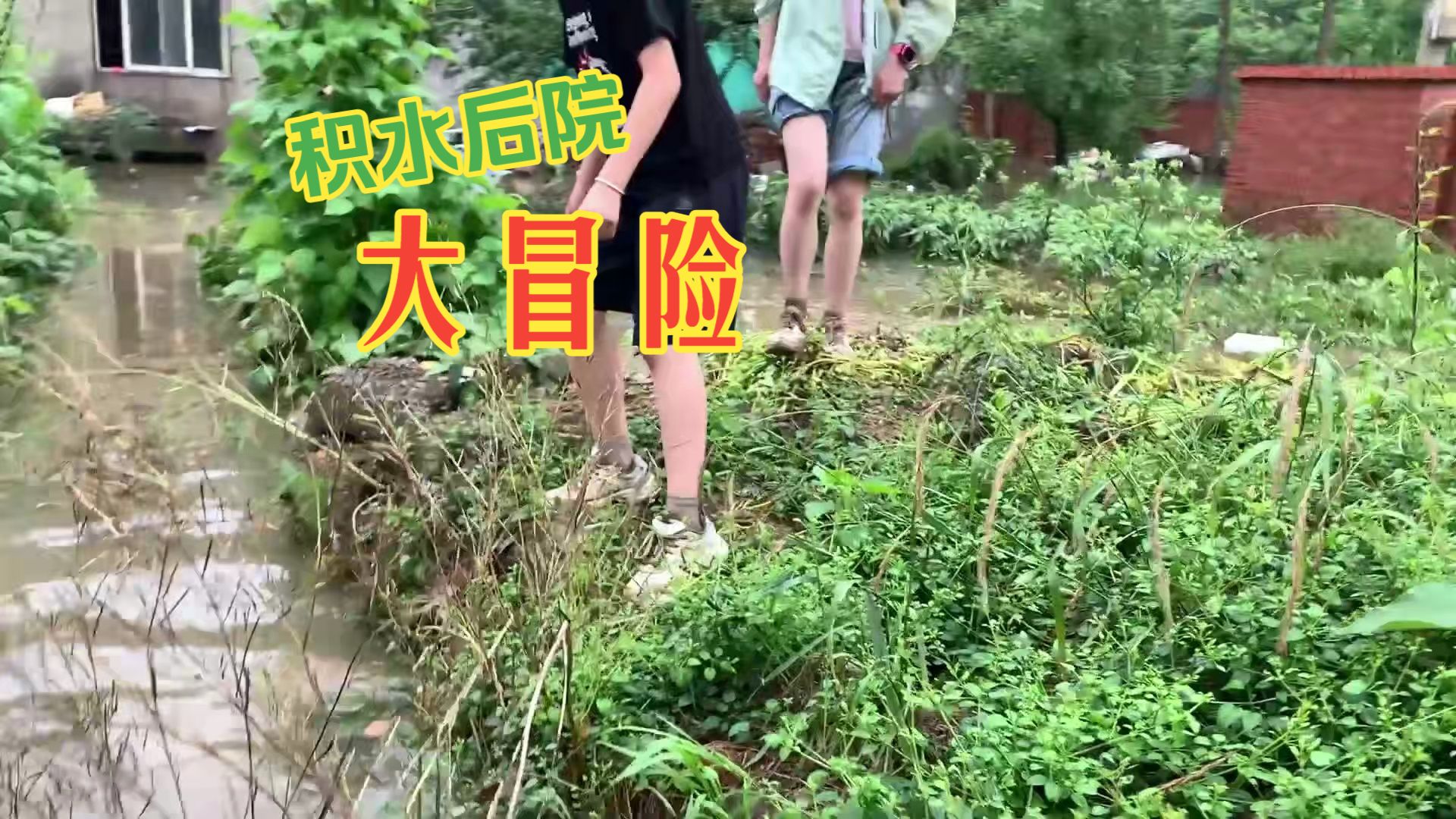 记录暴雨行人第十六期B
