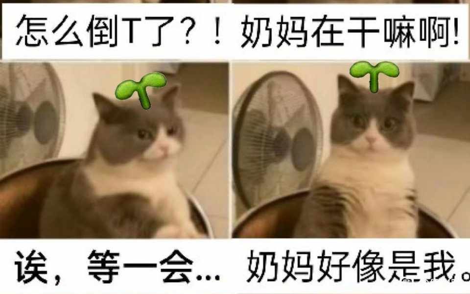 气火攻心哔哩哔哩bilibili