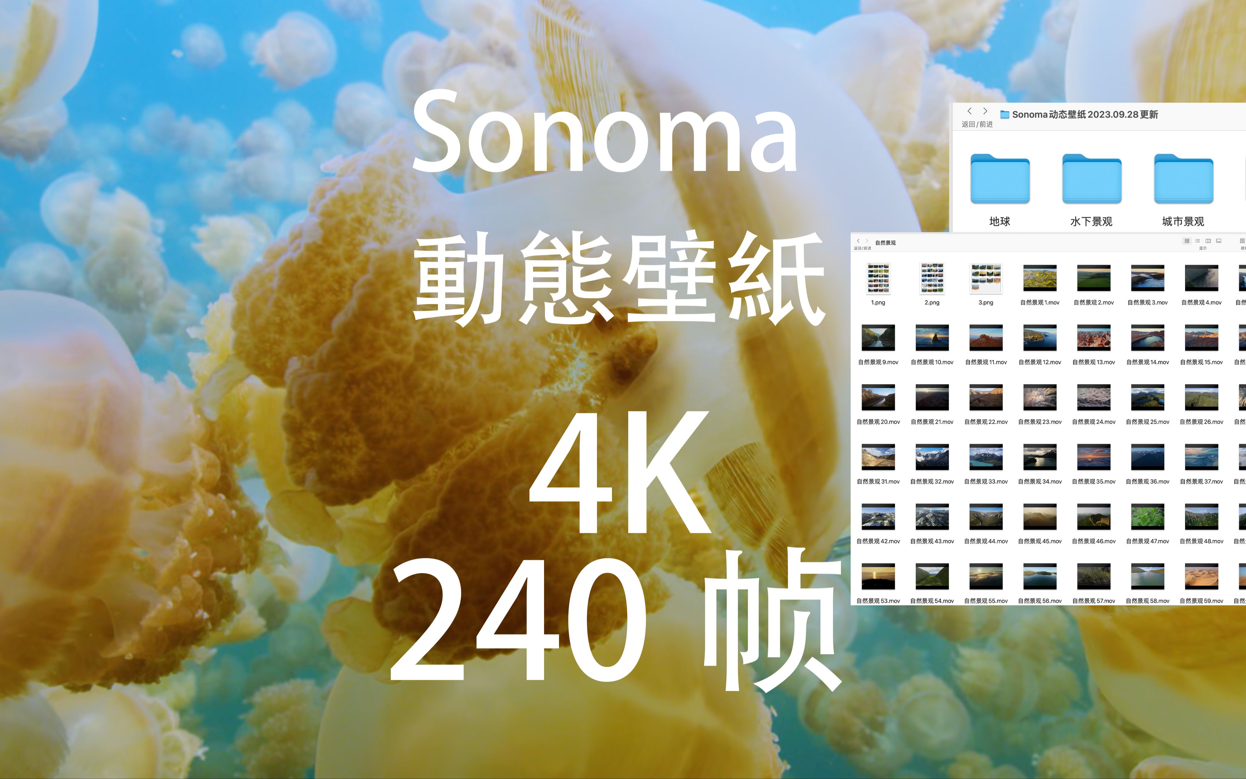 MacOS Sonoma动态壁纸4K240Hz全球景观哔哩哔哩bilibili