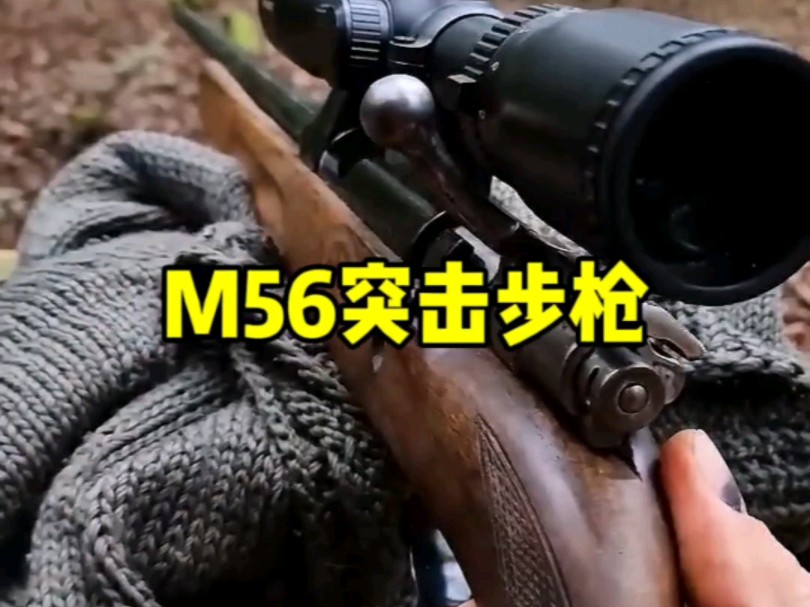 m56突击步枪你认识吗哔哩哔哩bilibili