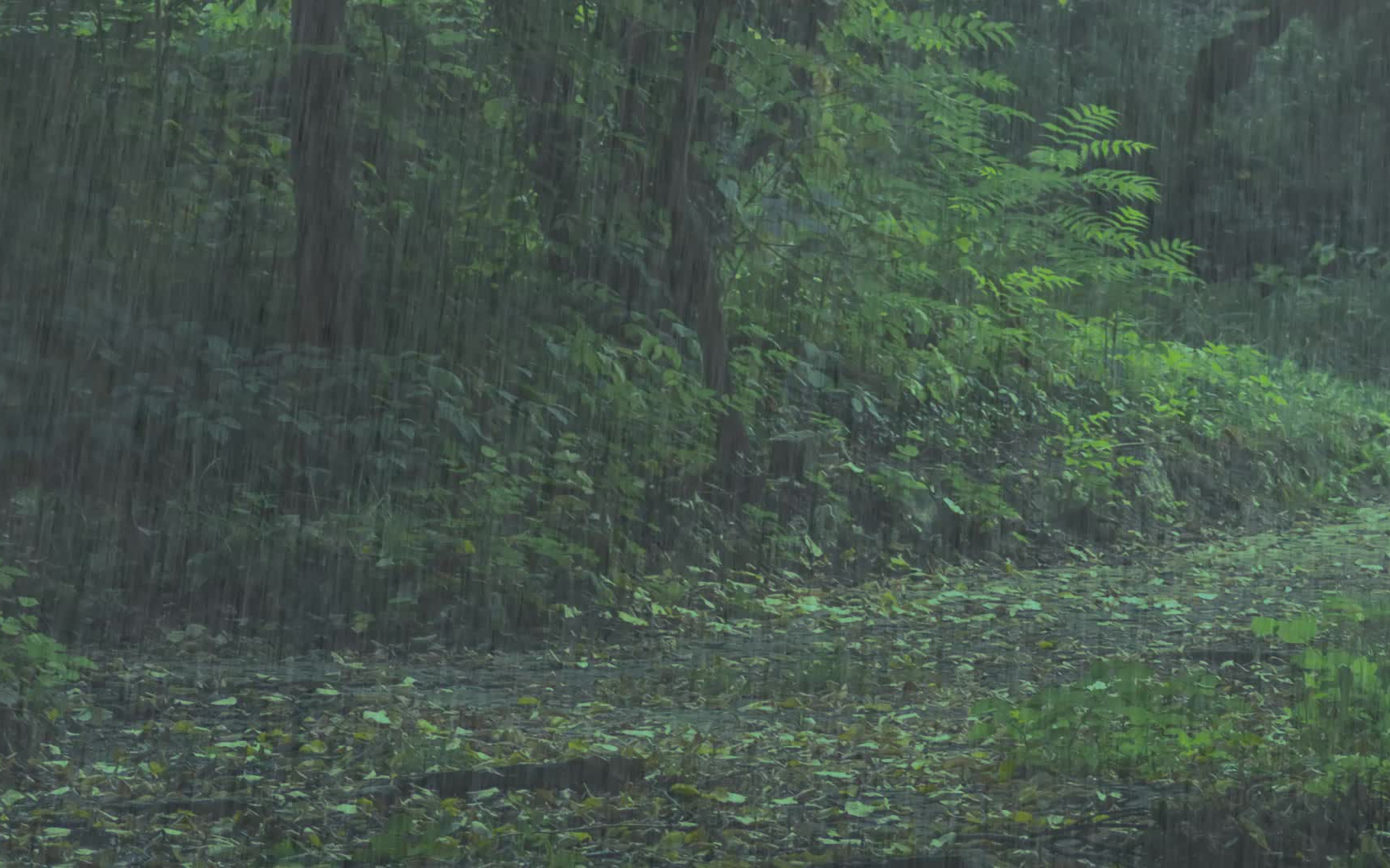 [图]下雨的声音，让你深度睡眠，放松冥想，获得安稳舒适宁静的快感