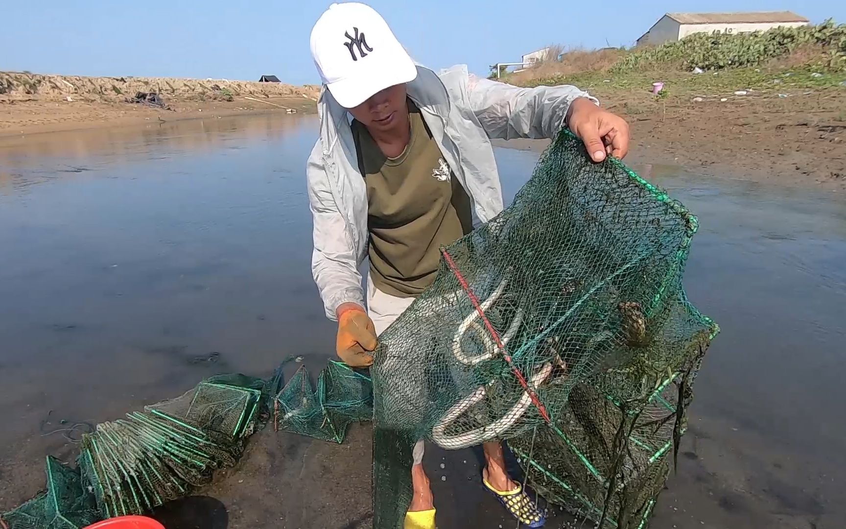 青岛小舟海鲜迎来“最佳赏味期” 此刻立虾尤为抢手