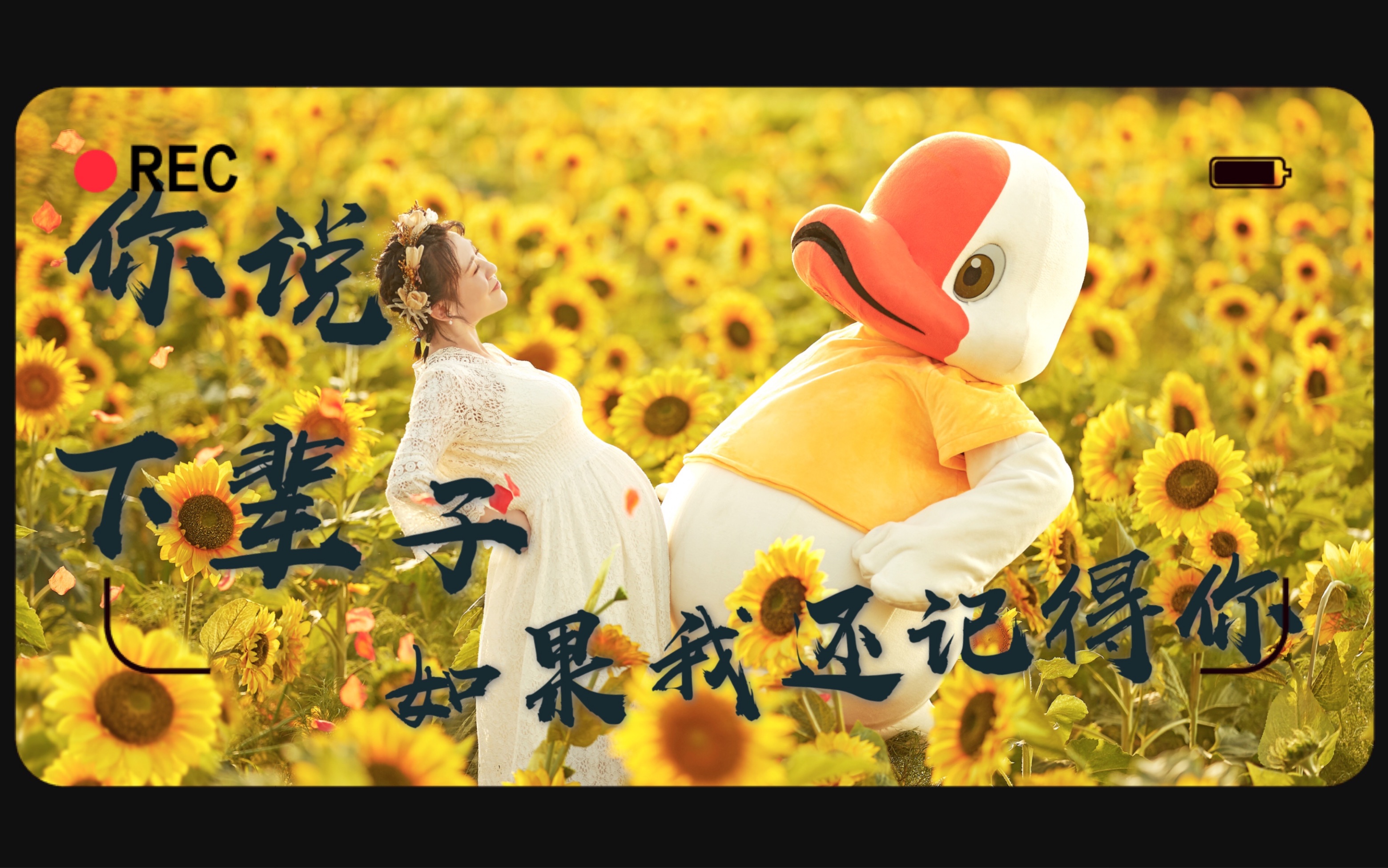 【沈马组合】你说下辈子如果我还记得你