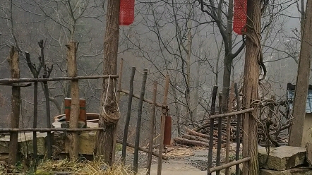 寒冬腊月的感觉,风雨飘摇哔哩哔哩bilibili