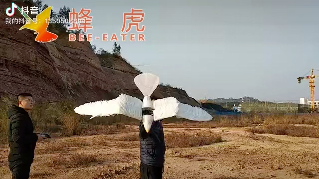 羽毛仿生机器鸟