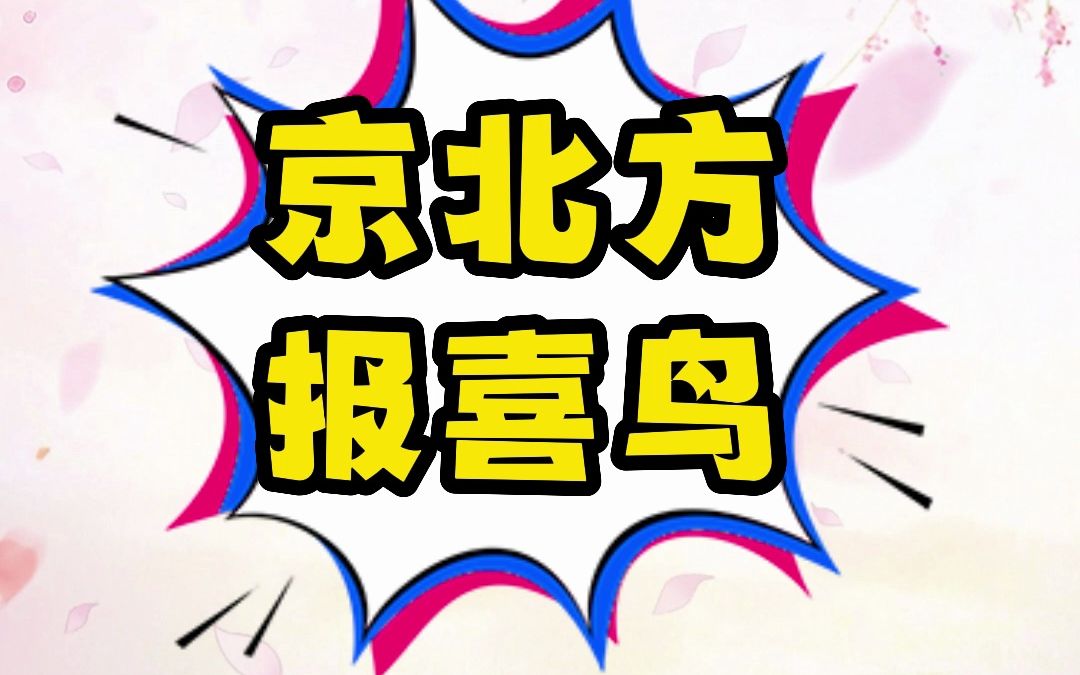 京北方、报喜鸟,最新主力状态哔哩哔哩bilibili