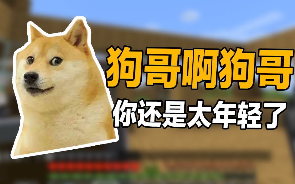 狗哥太年轻还是被整了