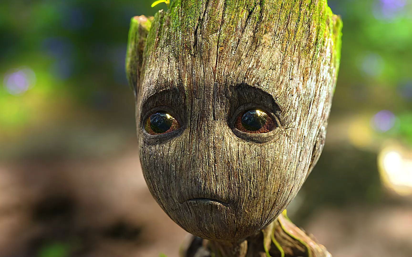 幼年格鲁特可可爱爱没烦恼