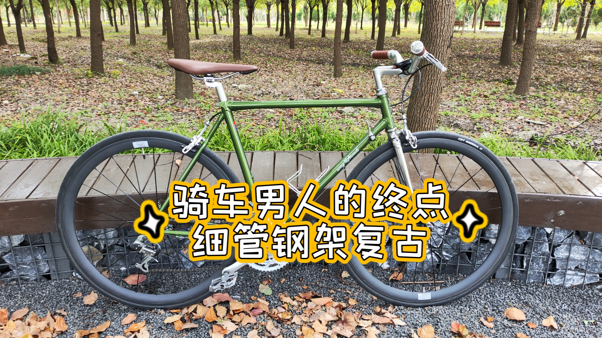 中年大叔的玩具,复古钢架公路车哔哩哔哩bilibili